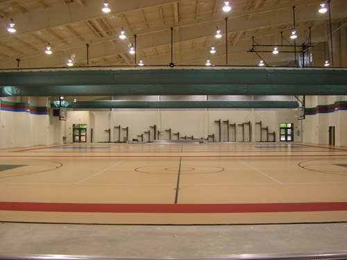 DynaSelect™ Synthetic Flooring