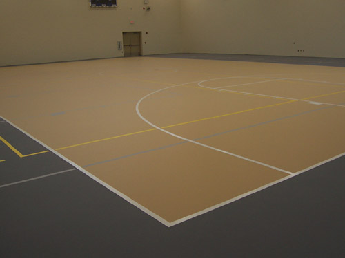 Dynamic Sports Construction facilities