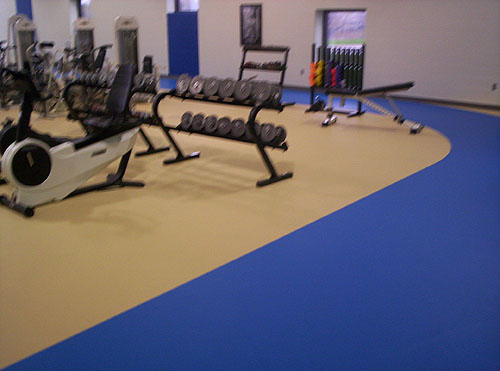 Dynamic Sports Construction facilities